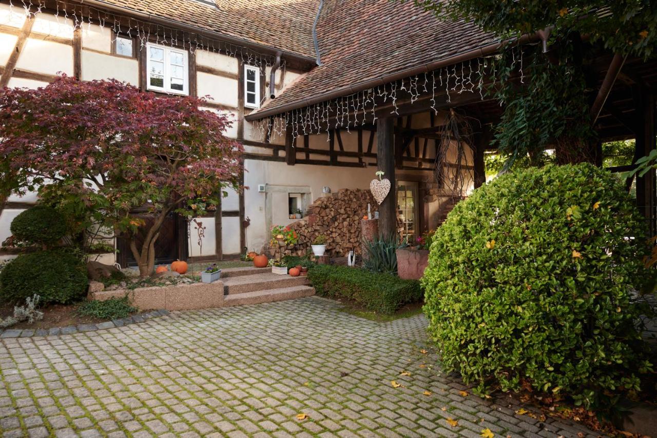 La Cour De Lise Maison D'Hotes Et Spa Willgottheim Exterior foto